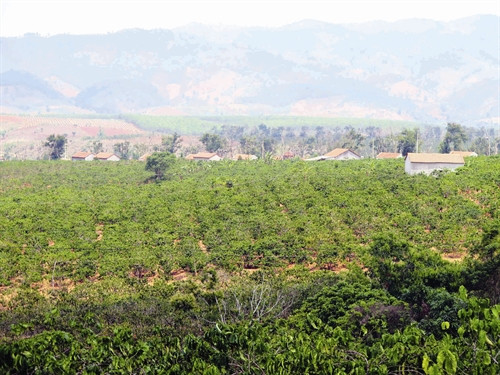 Kon Tum hỗ trợ đất cho người nghèo