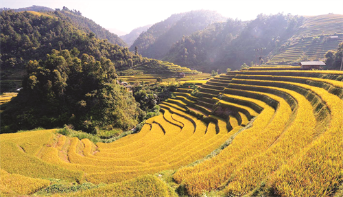 Tìm hiểu hiến pháp năm 2013: Quy định của Hiến pháp về đường lối đối ngoại của nước ta, về bảo vệ môi trương và về Công đoàn Việt Nam
