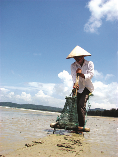 Cô Tô – điểm sáng nơi đảo xa