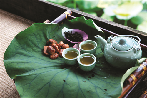 Trà sen Hồ tây