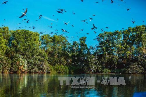Đánh thức tiềm năng du lịch sinh thái Bạc Liêu