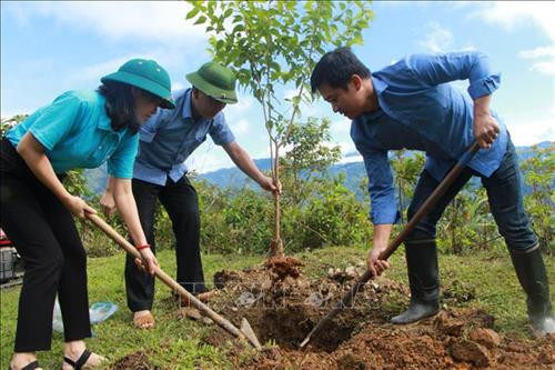 Vùng cao Mù Cang Chải thu hút du khách