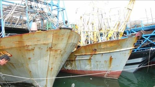 Quảng Nam gần 730 tỷ đồng cho vay đóng tàu lớn vươn khơi bám biển