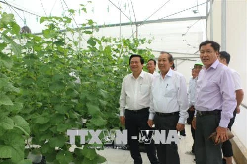 Phó Thủ tướng Trương Hòa Bình tham quan mô hình trồng dưa công nghệ cao tại Long An