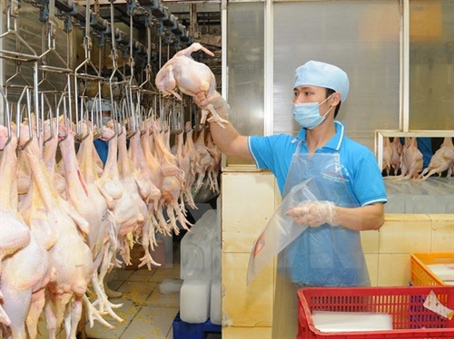 Dự báo không thiếu nguồn cung rau, thịt dịp Tết Nguyên đán