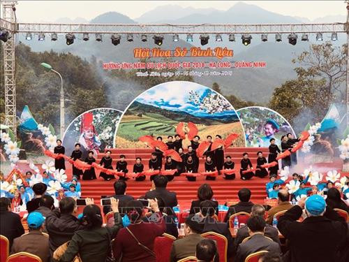 Khai mạc hội hoa Sở năm 2018 với chủ đề "Bình Liêu mùa hoa Sở"