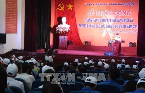 Đẩy mạnh việc chống bạo lực đối với phụ nữ và trẻ em gái