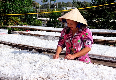 Bánh kẹo truyền thống đón Tết sớm