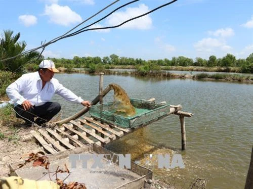 Các khu kinh tế ven biển cần hướng tới nền kinh tế các bon thấp
