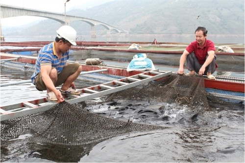 Cuộc sống mới trên lòng hồ Sông Đà