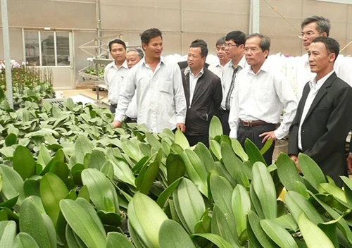 Tu Tra - Đơn Đương: Từ xã nghèo vươn lên làm giàu