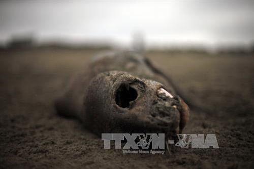 El Nino đe dọa sự sống của các tài nguyên biển Chile