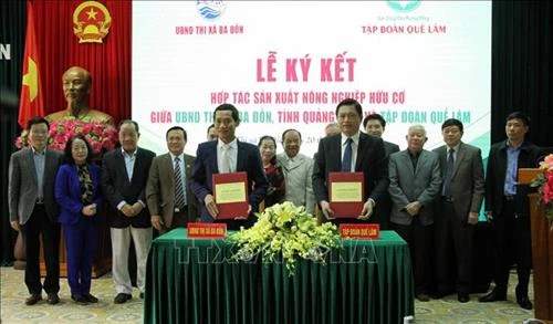 Quảng Bình hợp tác phát triển nông nghiệp hữu cơ