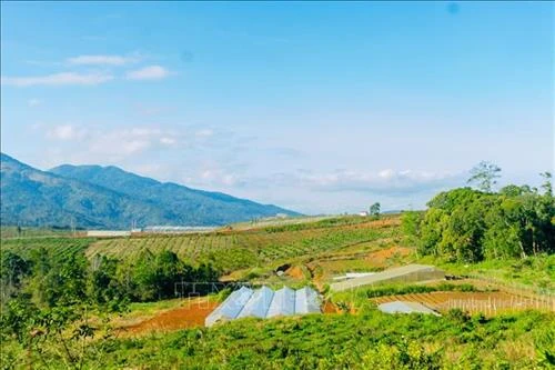 Kon Plông tận dụng thế mạnh để xây dựng nông thôn mới