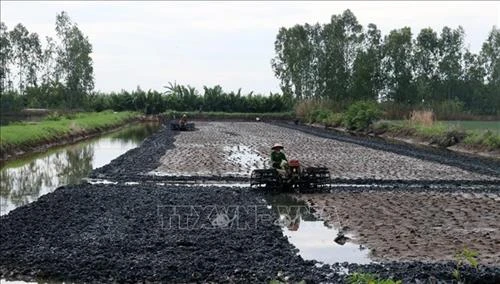 Một số mô hình sản xuất nông nghiệp thích ứng với hạn mặn