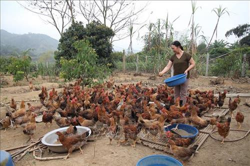 Dân vận khéo góp phần phát triển kinh tế ở huyện miền núi Văn Yên