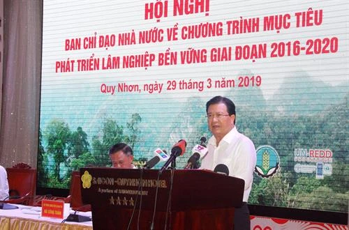 Phải kiểm soát chặt việc chuyển mục đích sử dụng rừng