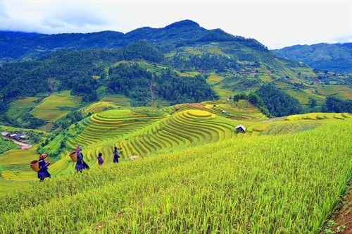 Cuối tuần Bắc bộ có mưa nhỏ vài nơi, ngày hửng nắng.