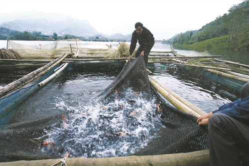 Cuộc sống mới của đồng bào tái định cư thủy điện Tuyên Quang