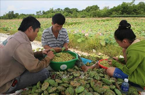 Thừa Thiên - Huế hỗ trợ phát triển 16 sản phẩm chủ lực