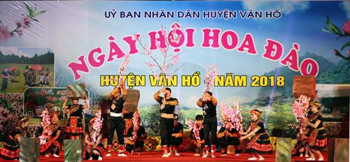 Sơn La tổ chức Ngày hội Hoa đào