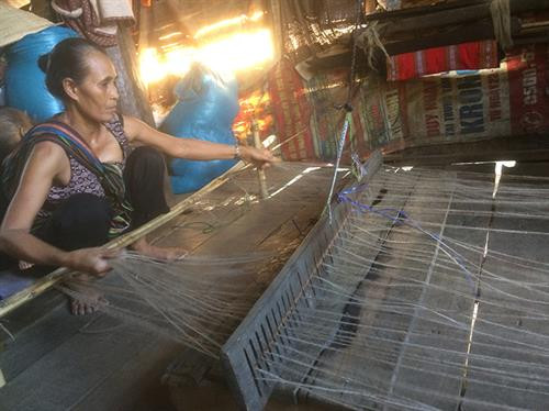 Tìm cói cho nghề dệt chiếu của người Êđê