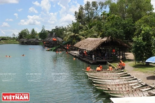 Chốn đồng quê Bò Cạp Vàng