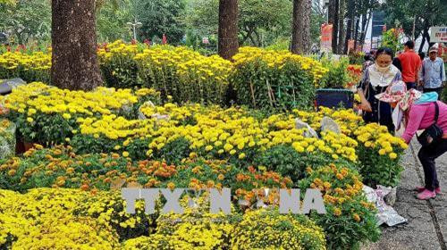 Thành phố Hồ Chí Minh tổ chức Hội hoa xuân Mậu Tuất 2018