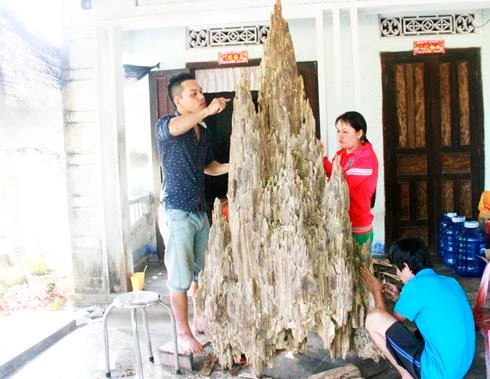Sướng mắt ở làng trầm Phú Hội 
