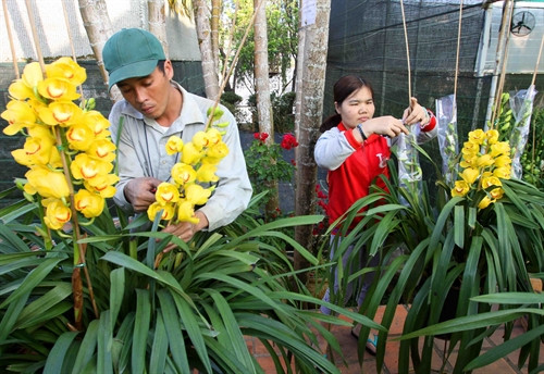 Hà Đông - làng hoa đầu tiên của Đà Lạt