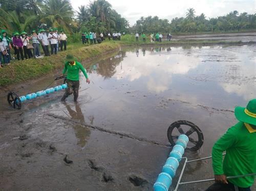 Lợi ích của sạ thưa ở ấp Tân Thuận