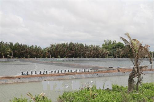 Đánh thức tiềm năng nuôi trồng thủy sản ven biển Gò Công