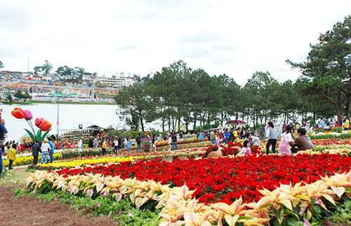 Triển vọng hợp tác Lâm Đồng - Nam Phi