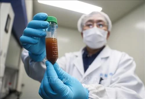 Dịch COVID-19: Vaccine phòng bệnh đã đạt thành công bước đầu trong quá trình thử nghiệm