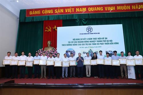 Nhìn lại 5 năm Hà Nội tái cơ cấu nông nghiệp theo hướng nâng cao giá trị gia tăng và phát triển bền vững