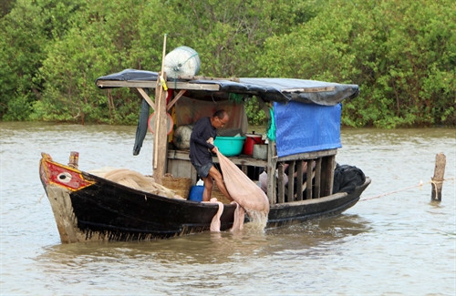 Sóc Trăng: Nhiều cá chết bất thường trên tuyến sông Mỹ Thanh