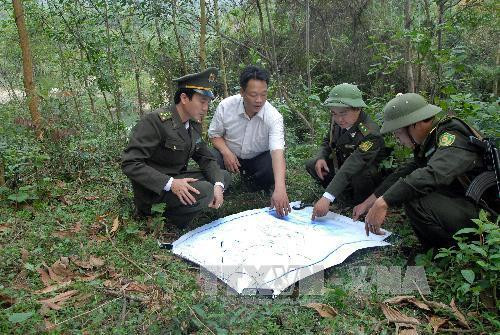 Bảo vệ rừng, nâng cao hiệu quả sản xuất lâm nghiệp