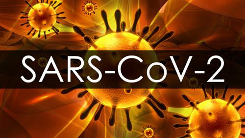 Pháp thử nghiệm vaccine chống virus SARS-CoV-2 trên chuột