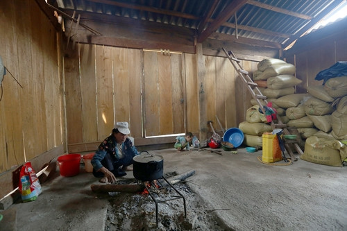 Ổn định sản xuất cho người dân theo Đề án 79