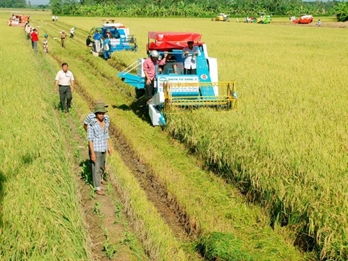Vẫn khó “cởi trói” hạn điền trong phát triển nông nghiệp