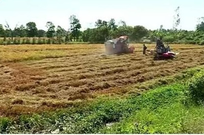 Những đảng viên nêu gương vượt khó, làm giàu ở Kiên Giang