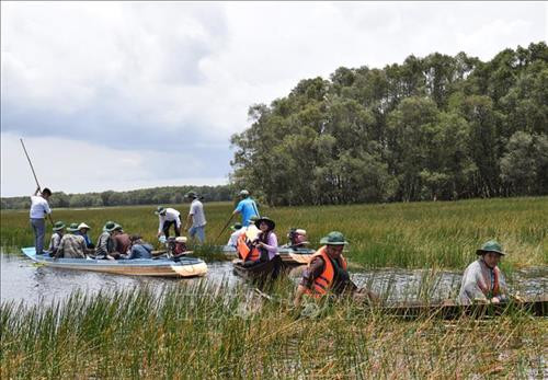 Ramsar Tràm Chim vào mùa nước nổi