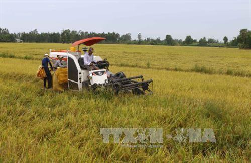 Phát triển nguồn nhân lực và nhân lực chất lượng cao vùng Tây Nam Bộ