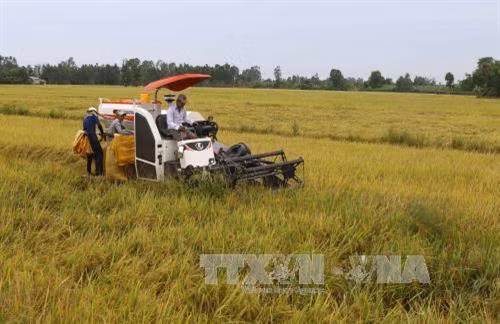 Phát triển nguồn nhân lực và nhân lực chất lượng cao vùng Tây Nam Bộ