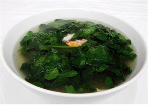 Rau chùm ngây không phải ai ăn cũng tốt