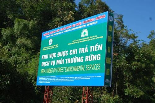 Giải quyết vướng mắc trong chi trả tiền dịch vụ môi trường rừng qua tài khoản