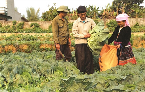 Lai Châu chung sức xây dựng nông thôn mới