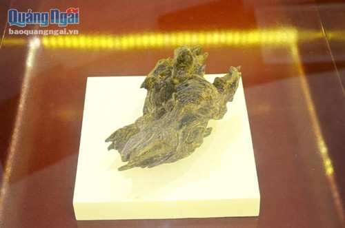 Khám phá xứ trầm hương