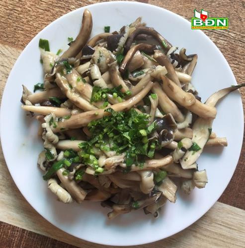 Thơm ngon nấm mối rừng