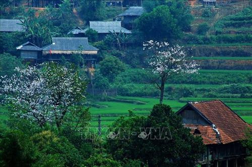 Tháng 2/2019, Việt Nam đón lượng khách quốc tế lớn nhất từ trước đến nay